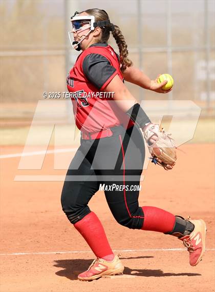 Thumbnail 1 in Cactus vs. Ironwood photogallery.