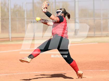 Thumbnail 3 in Cactus vs. Ironwood photogallery.