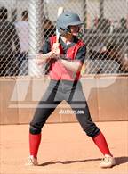 Photo from the gallery "Cactus vs. Ironwood"