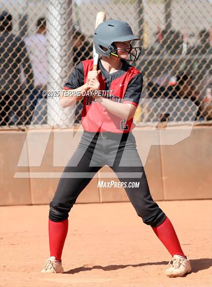 Thumbnail 3 in Cactus vs. Ironwood photogallery.