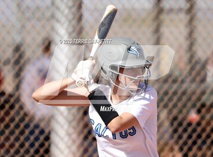 Thumbnail 2 in Cactus vs. Ironwood photogallery.