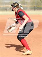 Photo from the gallery "Cactus vs. Ironwood"