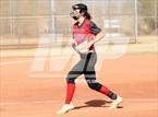 Photo from the gallery "Cactus vs. Ironwood"