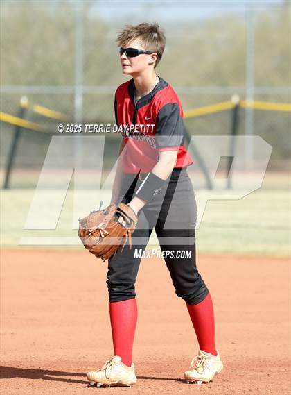 Thumbnail 3 in Cactus vs. Ironwood photogallery.