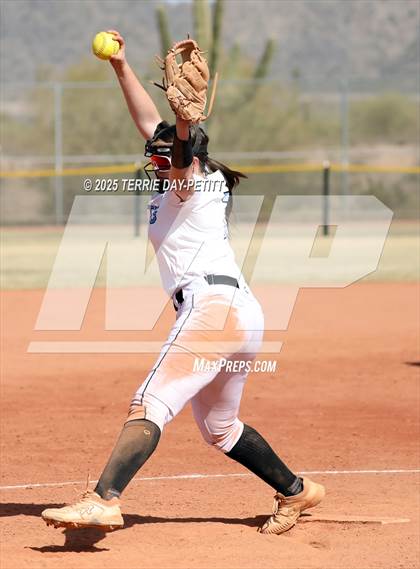 Thumbnail 2 in Cactus vs. Ironwood photogallery.