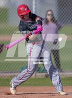 Photo from the gallery "Mingus @ Goldwater"