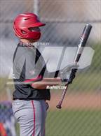 Photo from the gallery "Mingus @ Goldwater"