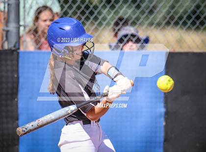 Thumbnail 1 in Wheat Ridge @ Highlands Ranch photogallery.