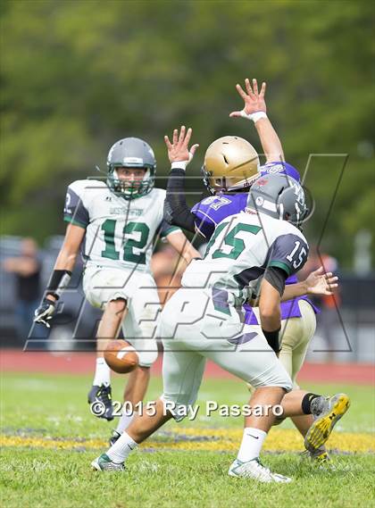 Thumbnail 2 in Westhampton Beach @ Sayville photogallery.