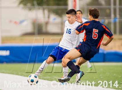 Thumbnail 2 in Brandeis @ Jay photogallery.