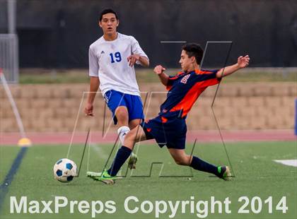 Thumbnail 1 in Brandeis @ Jay photogallery.
