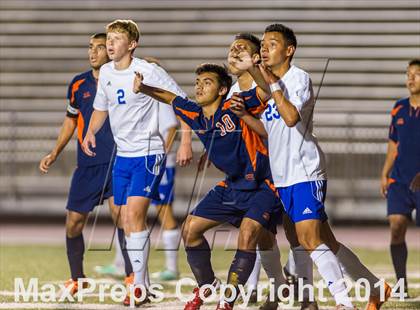 Thumbnail 1 in Brandeis @ Jay photogallery.