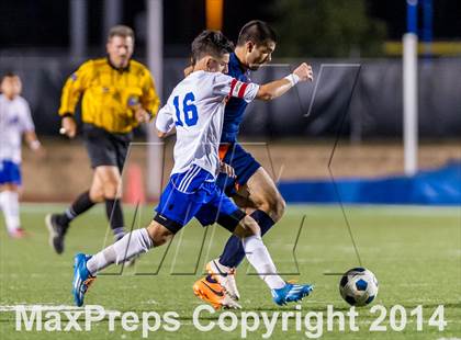 Thumbnail 1 in Brandeis @ Jay photogallery.