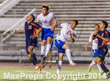 Thumbnail 3 in Brandeis @ Jay photogallery.