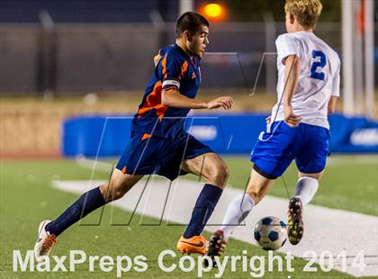 Thumbnail 2 in Brandeis @ Jay photogallery.