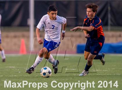 Thumbnail 3 in Brandeis @ Jay photogallery.
