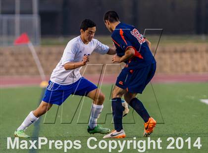 Thumbnail 1 in Brandeis @ Jay photogallery.