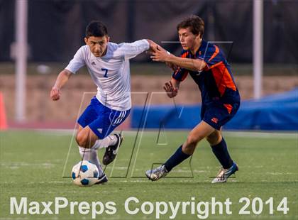 Thumbnail 2 in Brandeis @ Jay photogallery.