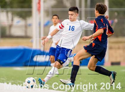 Thumbnail 1 in Brandeis @ Jay photogallery.