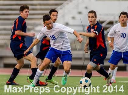 Thumbnail 2 in Brandeis @ Jay photogallery.