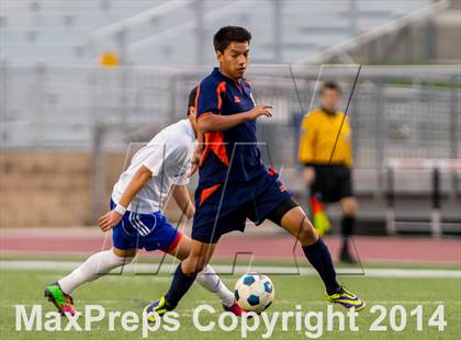 Thumbnail 2 in Brandeis @ Jay photogallery.