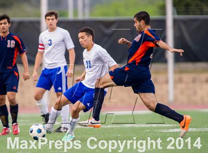Thumbnail 2 in Brandeis @ Jay photogallery.