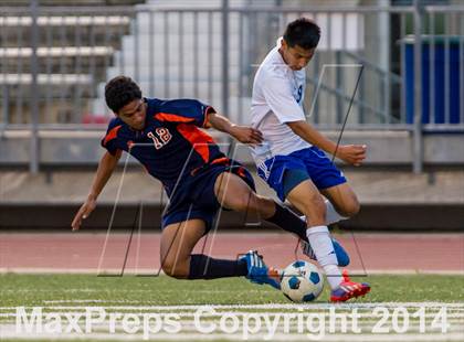 Thumbnail 2 in Brandeis @ Jay photogallery.