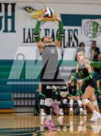 Photo from the gallery "Belton @ Ellison"
