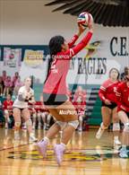 Photo from the gallery "Belton @ Ellison"