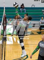 Photo from the gallery "Belton @ Ellison"