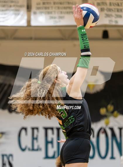 Thumbnail 1 in Belton @ Ellison photogallery.