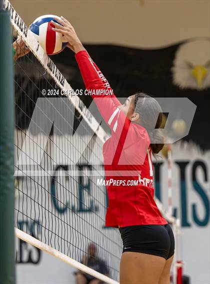 Thumbnail 1 in Belton @ Ellison photogallery.