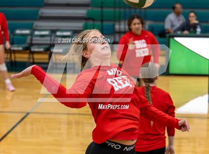 Thumbnail 2 in Belton @ Ellison photogallery.