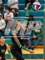 Photo from the gallery "Belton @ Ellison"