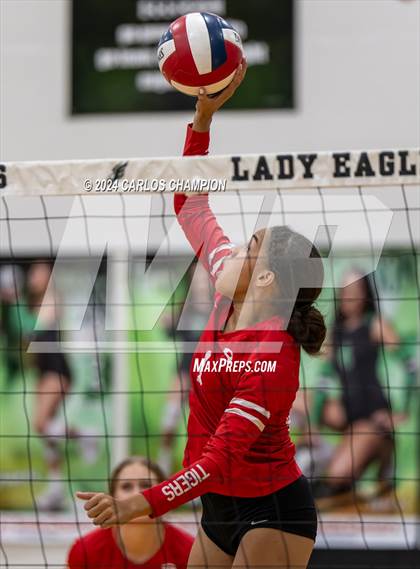 Thumbnail 1 in Belton @ Ellison photogallery.