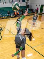 Photo from the gallery "Belton @ Ellison"