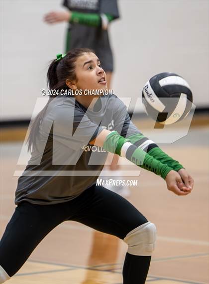 Thumbnail 2 in Belton @ Ellison photogallery.