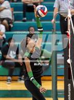 Photo from the gallery "Belton @ Ellison"