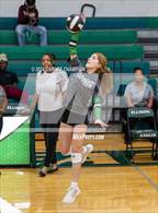 Photo from the gallery "Belton @ Ellison"