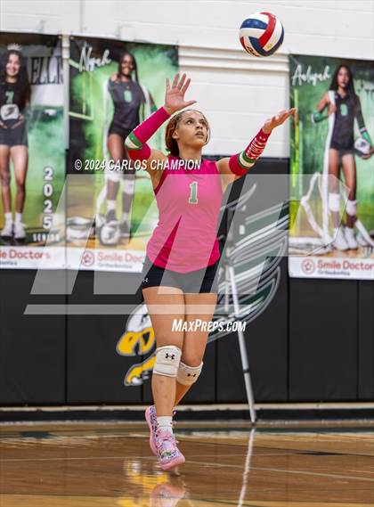 Thumbnail 1 in Belton @ Ellison photogallery.