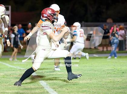 Thumbnail 2 in Plant City @ Lake Gibson photogallery.