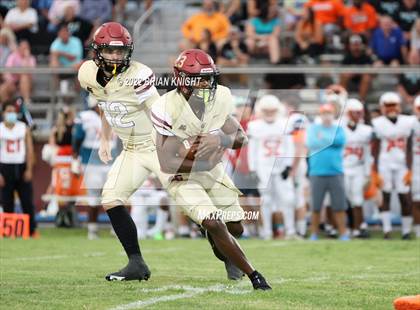 Thumbnail 1 in Plant City @ Lake Gibson photogallery.
