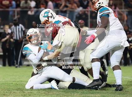 Thumbnail 2 in Plant City @ Lake Gibson photogallery.