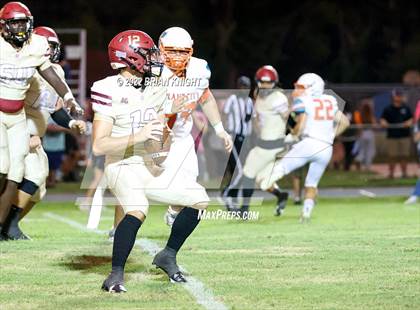 Thumbnail 1 in Plant City @ Lake Gibson photogallery.