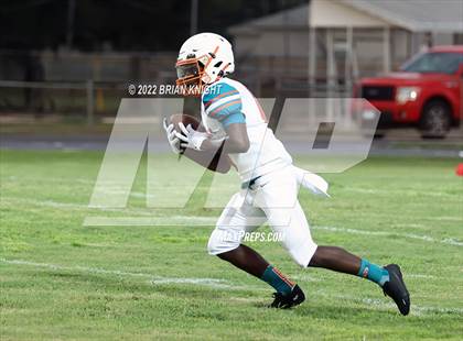 Thumbnail 2 in Plant City @ Lake Gibson photogallery.