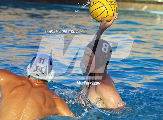 null - Photo 41