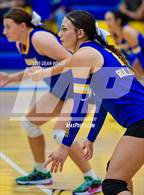 Photo from the gallery "Parker @ Kingman"