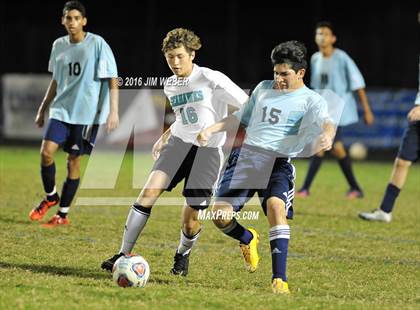 Thumbnail 1 in JV: Sunlake @ Wesley Chapel photogallery.