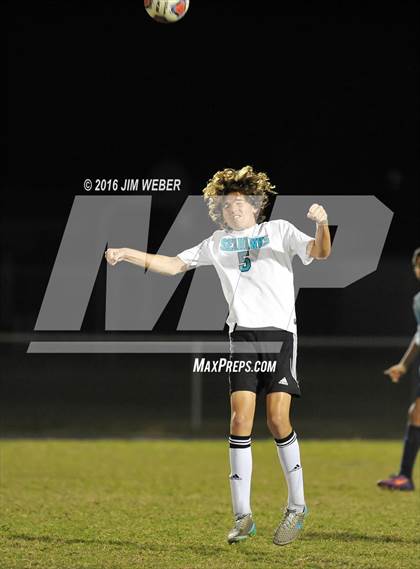 Thumbnail 3 in JV: Sunlake @ Wesley Chapel photogallery.