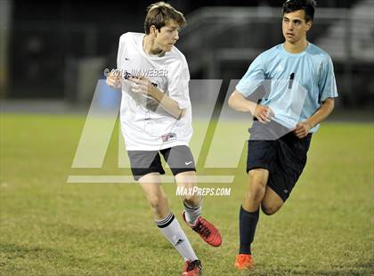 Thumbnail 2 in Sunlake @ Wesley Chapel photogallery.